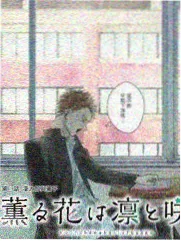 声音实验室 免费看视频音乐